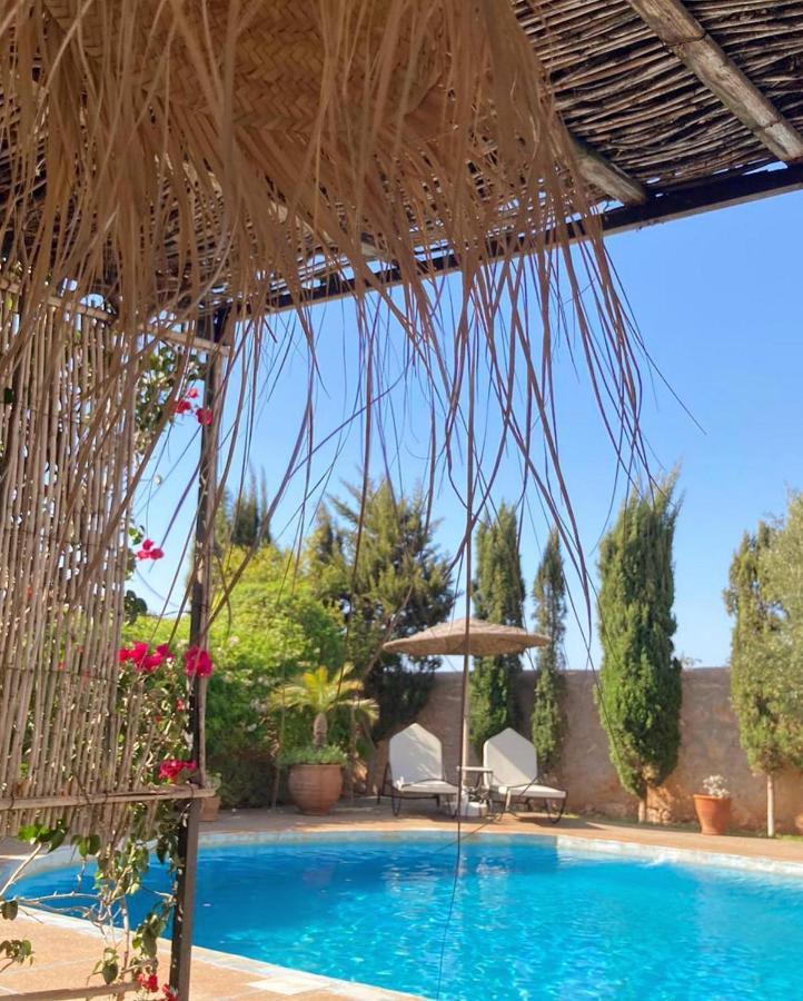 Maison Mimosa, Lovely 3 Bedroom Villa With A Large Pool Szavíra Kültér fotó