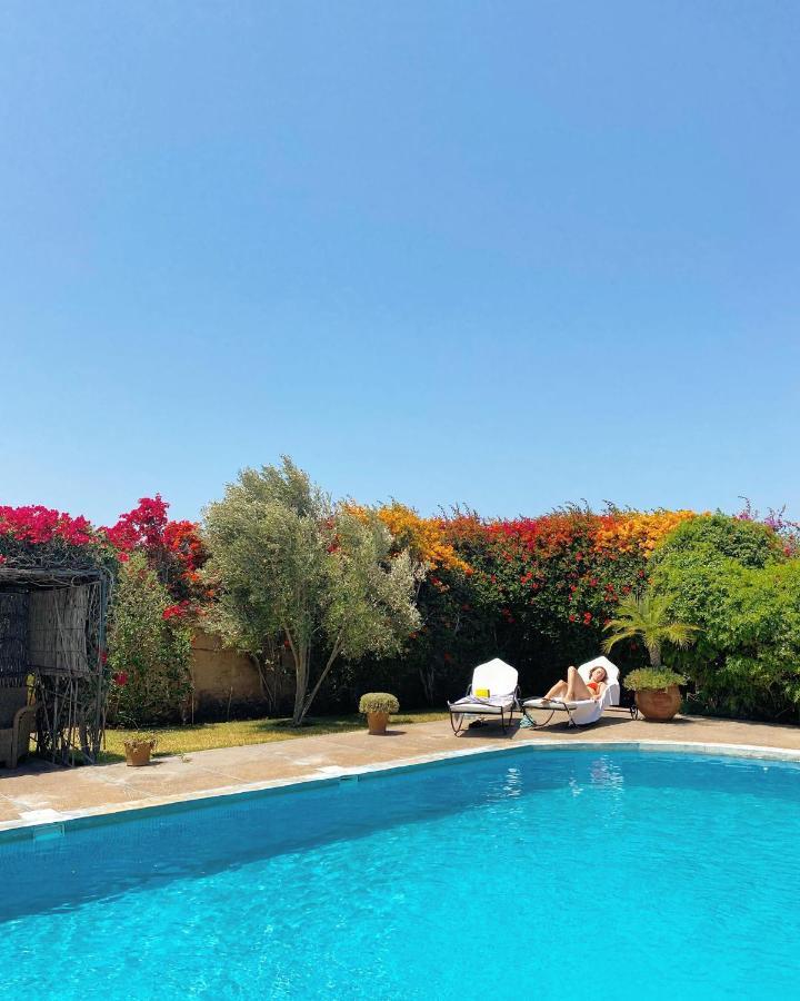 Maison Mimosa, Lovely 3 Bedroom Villa With A Large Pool Szavíra Kültér fotó
